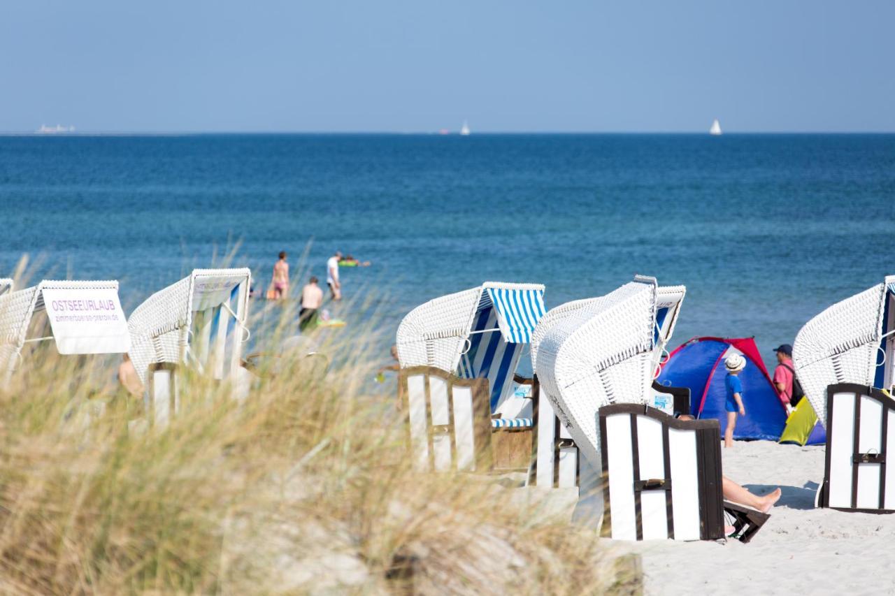 Seebrise Zingst Dış mekan fotoğraf
